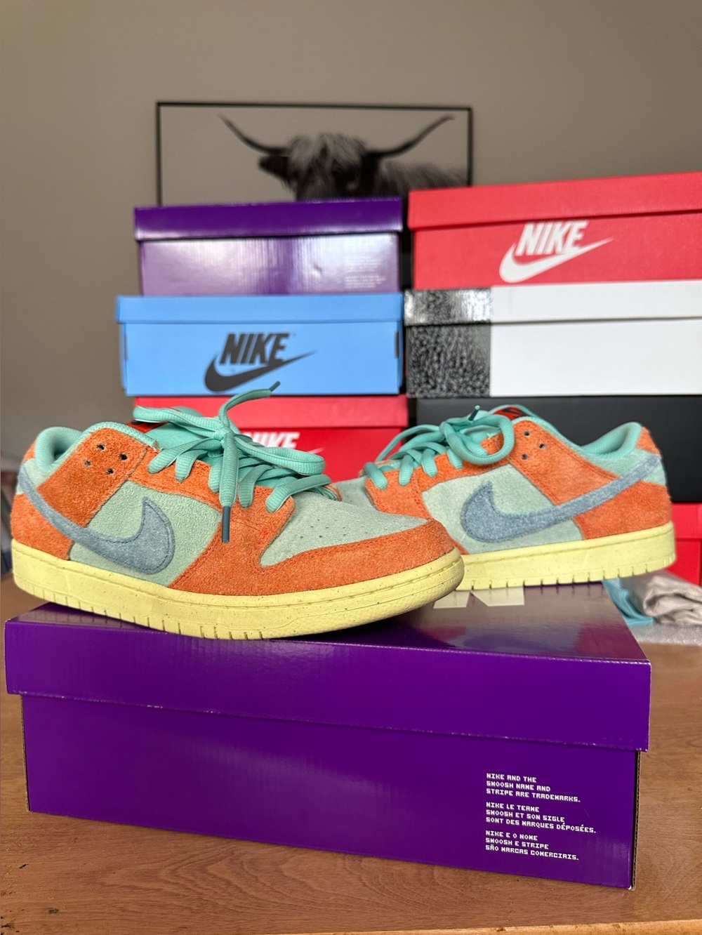 Nike SB Dunk Low Pro- Orange Emerald Rise (Size 11M)